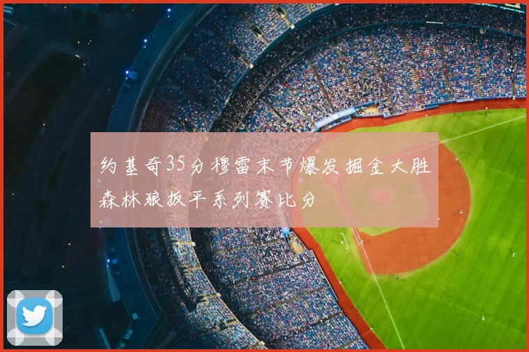 约基奇35分穆雷末节爆发掘金大胜森林狼扳平系列赛比分