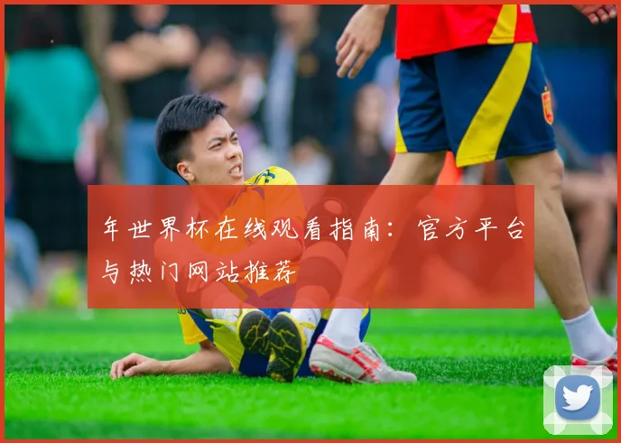 年世界杯在线观看指南：官方平台与热门网站推荐
