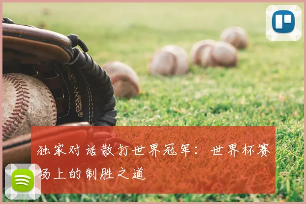 独家对话散打世界冠军：世界杯赛场上的制胜之道