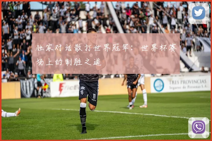 独家对话散打世界冠军：世界杯赛场上的制胜之道