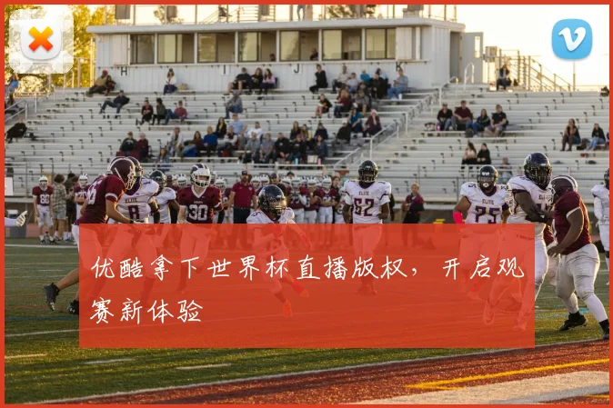 优酷拿下世界杯直播版权，开启观赛新体验