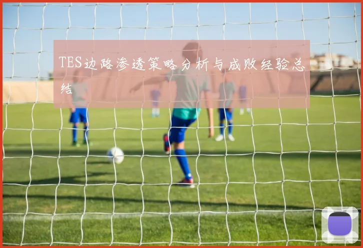 TES边路渗透策略分析与成败经验总结