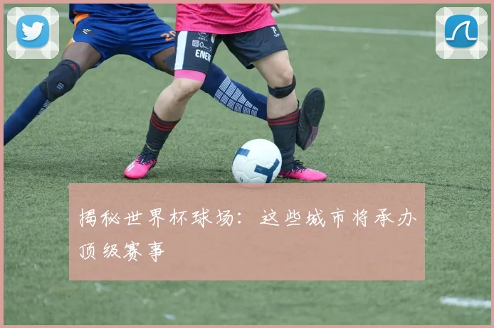 揭秘世界杯球场：这些城市将承办顶级赛事