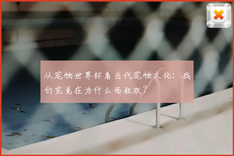 从宠物世界杯看当代宠物文化：我们究竟在为什么而狂欢？