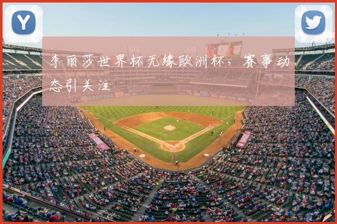 李丽莎世界杯无缘欧洲杯，赛事动态引关注