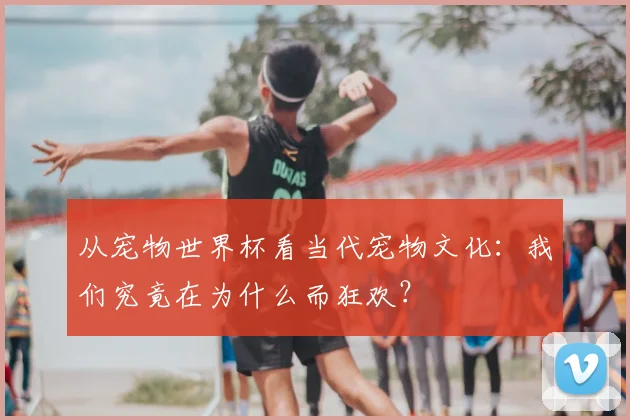 从宠物世界杯看当代宠物文化：我们究竟在为什么而狂欢？
