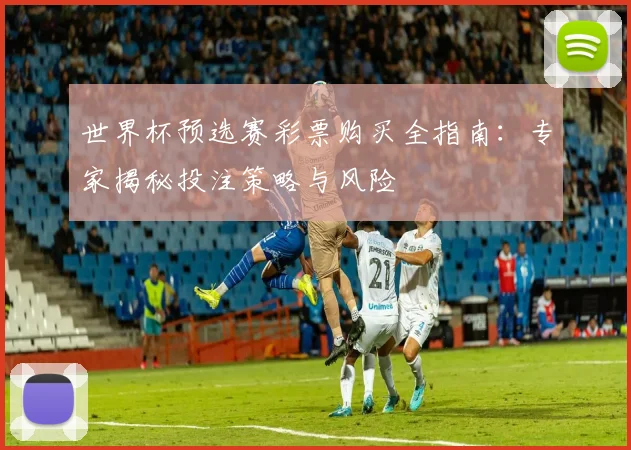 世界杯预选赛彩票购买全指南：专家揭秘投注策略与风险