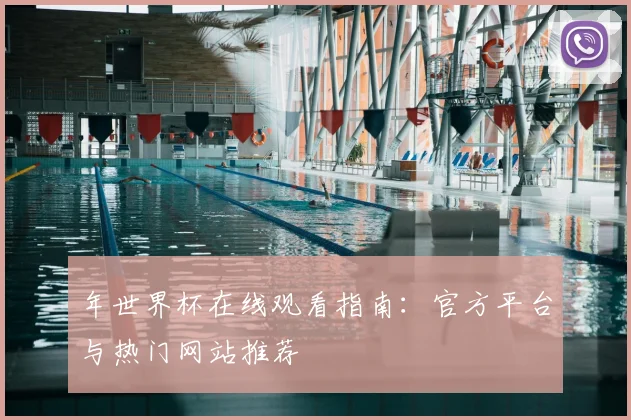 年世界杯在线观看指南：官方平台与热门网站推荐