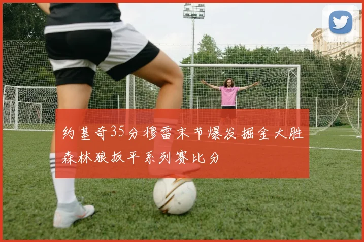 约基奇35分穆雷末节爆发掘金大胜森林狼扳平系列赛比分