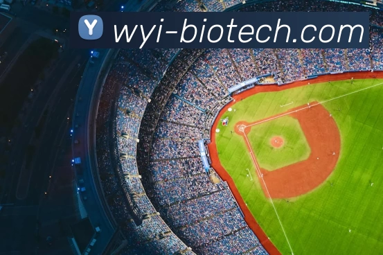 爱游戏官网发展历程